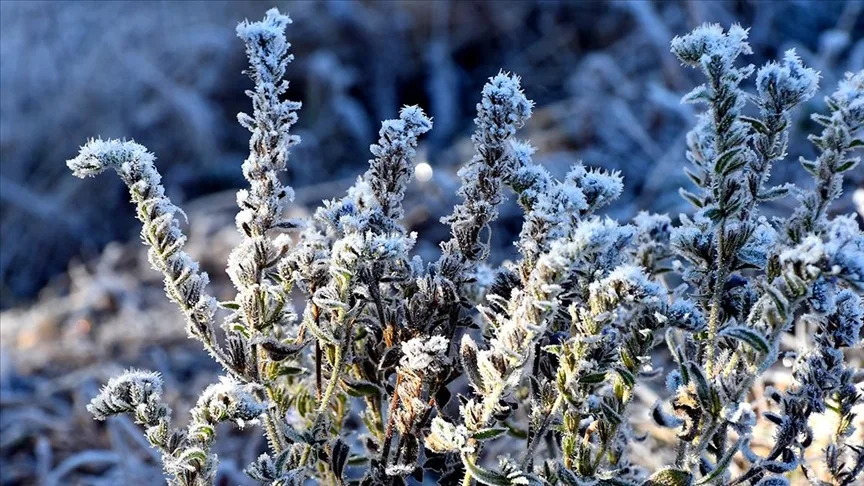 Doğu Anadolu’da soğuk hava etkisini sürdürüyor