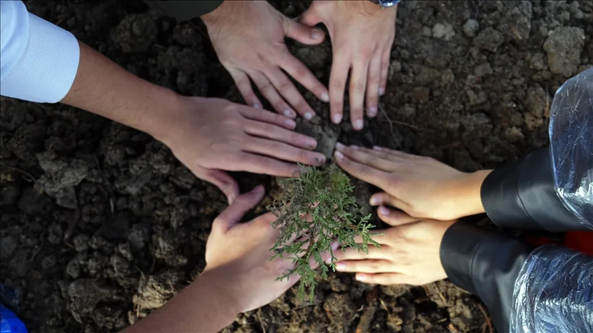 11 Kasım Milli Ağaçlandırma Günü’nde “çifte rekor” kırıldı