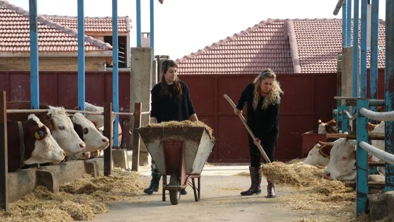 Hayvancılıkta verimlilik gelecek yıl desteklerle artırılacak