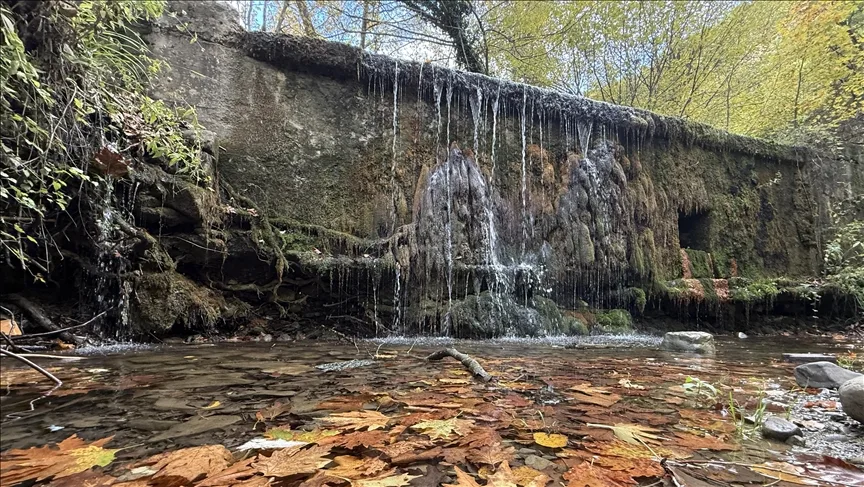 Tekirdağ’da sonbahar renklerine bürünen ormanlar doğa tutkunlarını bekliyor
