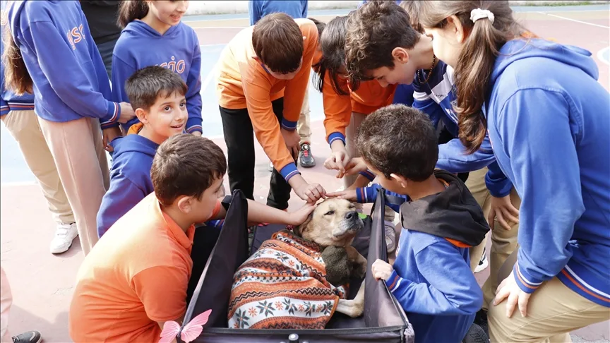 Engelli köpek “Kıvrık” hikayesiyle çocukların gönlüne dokunuyor