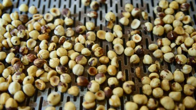 Düzce’den AB ülkelerine 15 bin 750 ton iç fındık ihraç edildi