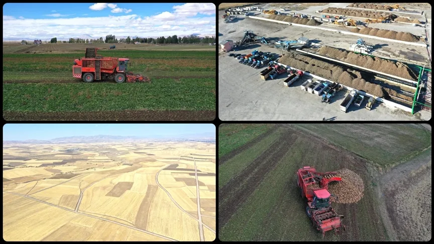 Ağrı’da devlet desteğiyle ekilen tarım ürünlerinde çeşitlilik artıyor