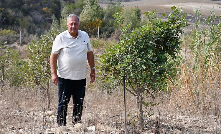 Emekli mühendis 156 dönümlük atıl araziyi fidanlarla yeşertti