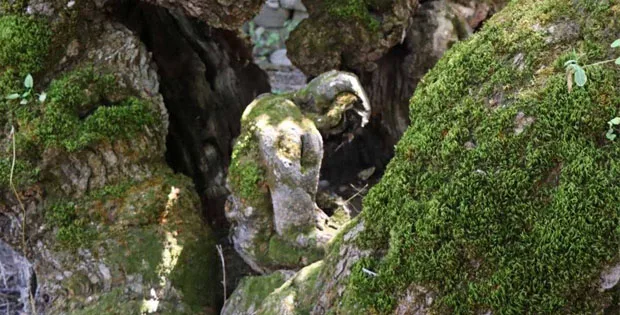 Dut Ağacındaki İnsan Silüeti