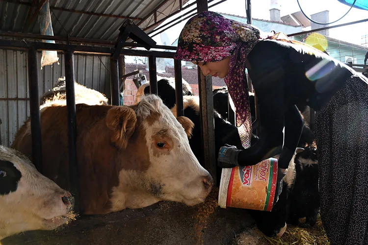 Üniversiteli Sıla, tatillerde köyüne dönüp ailesiyle çiftçilik yapıyor
