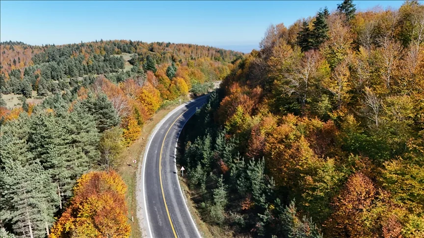 Samsun’un Alaçam ilçesinde Kızlan Yaylası sonbahar renklerine büründü