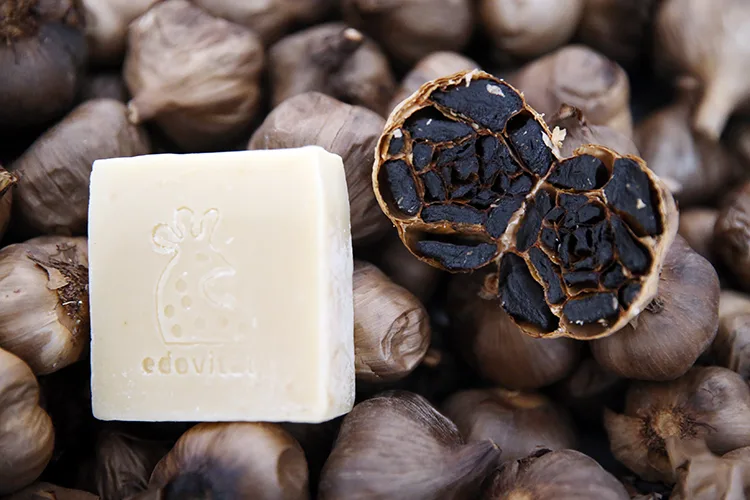 Taşköprü siyah sarımsağından sabun üretildi