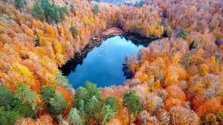 Türkiye’nin en huzurlu 4 ili belli oldu! Adeta sakin yaşamın adresi