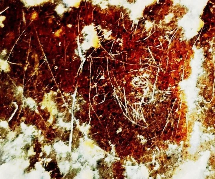 Güney İran’ın Antik Şehri İstakhr’da Sasani Kralının İğneyle Oyulmuş Görüntüsü Bulundu