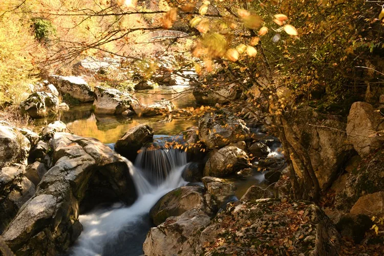 İçinden sonbaharın geçtiği kanyon: Horma