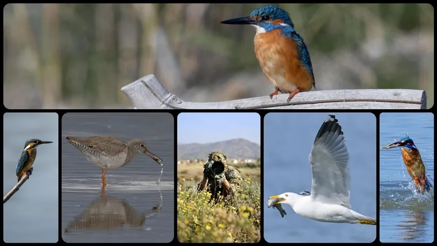 Fethiye’de Kuş Cenneti’nin sakinleri, fotoğrafçılara renkli kareler sunuyor