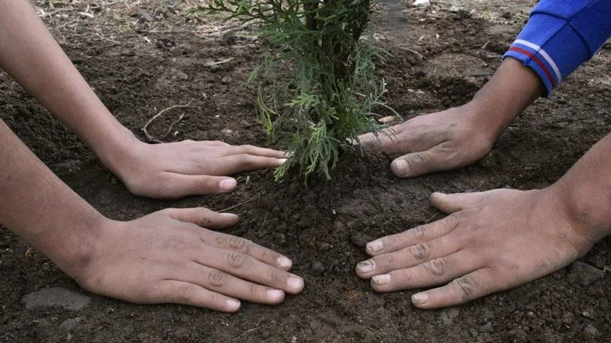 Atatürk’ü Anma Günü ile Milli Ağaçlandırma Günü’nde okullarda fidan dikim etkinlikleri yapılacak