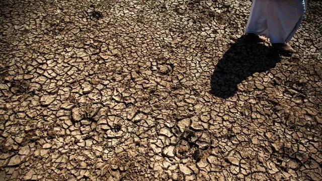 FAO’dan Türkiye’deki erozyon ve kuraklık tehlikesine 8,1 milyon dolarlık estek