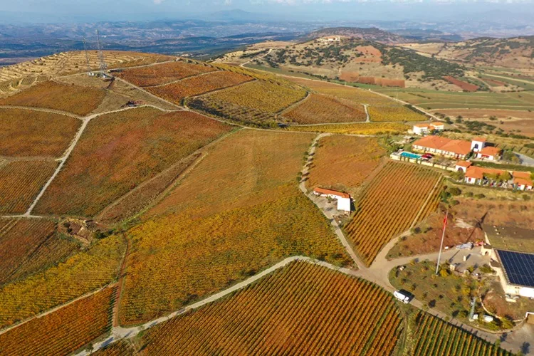 Yanık Ülke’de sonbahar renkleri, Tekirdağ’da sis etkili oldu