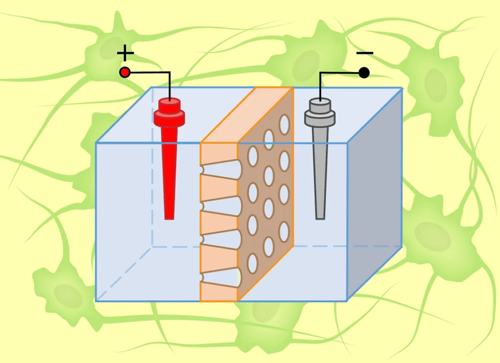 İyontronik Devreler: Tuzlu Suda Zeka Oluşturmak