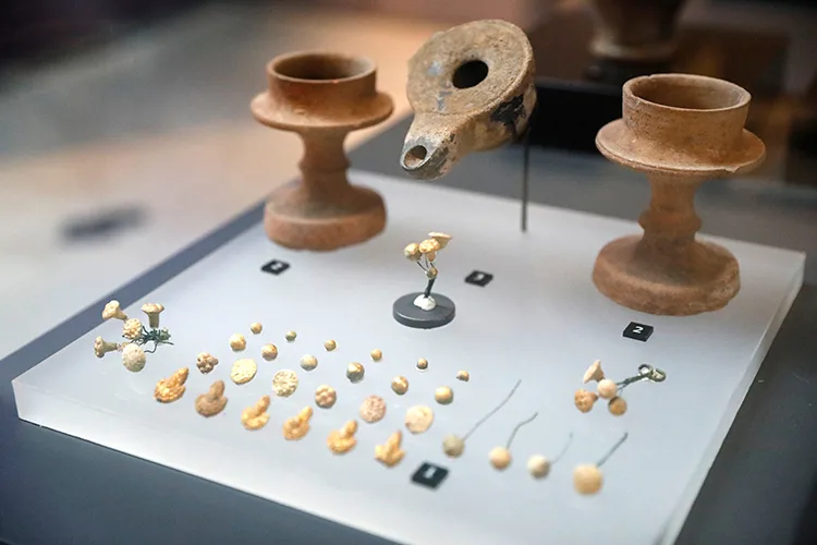 “Amisos Hazineleri” Samsun Müzesi’nin en dikkat çekici eserleri arasında yer alıyor