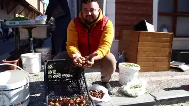 Şifalı Beşbıyık Meyvesi Pazar Tezgahlarında