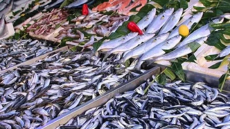Balık tezgahları şenlendi: Fiyatı 50 liraya düştü