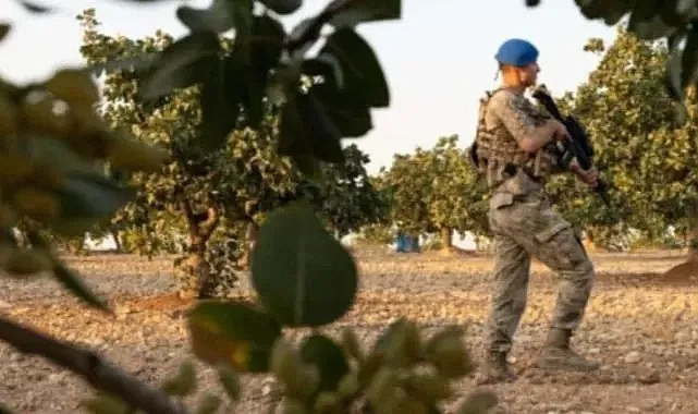 Çorum’da Servet Değerindeki Tarlalara Jandarma Nöbeti