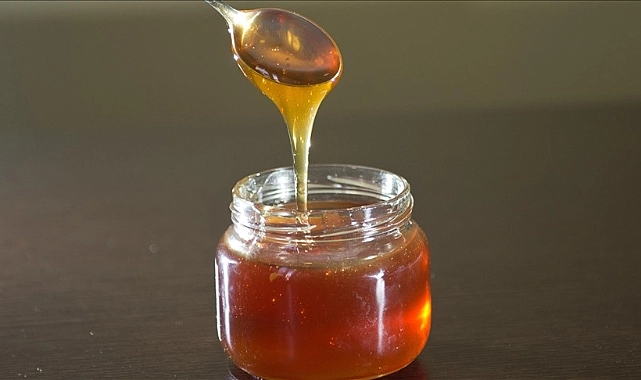 Doğu Karadeniz Balı 11 Ülkenin Sofrasında