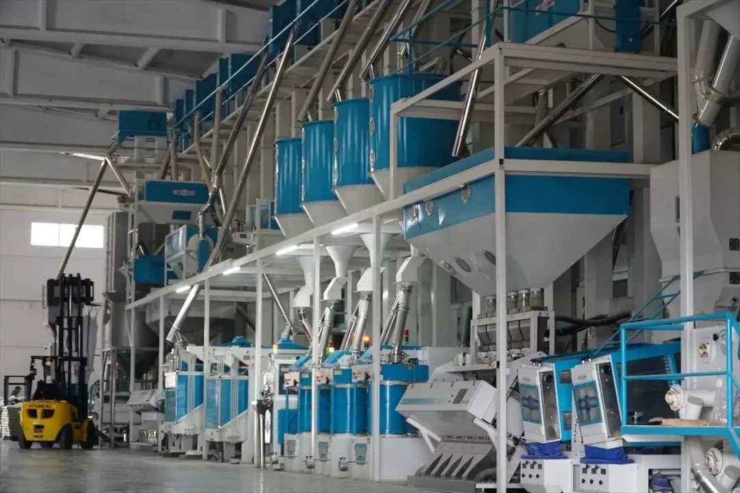 Çorum’un Osmancık ilçesinde modern kurutma yöntemleri, çeltiğin kalitesini artırıyor.