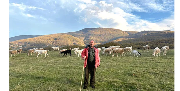 60 Yıllık Çoban Hasan Karakurt: “Ete Lezzetini Veren Hayvanın Yediği Ottur”