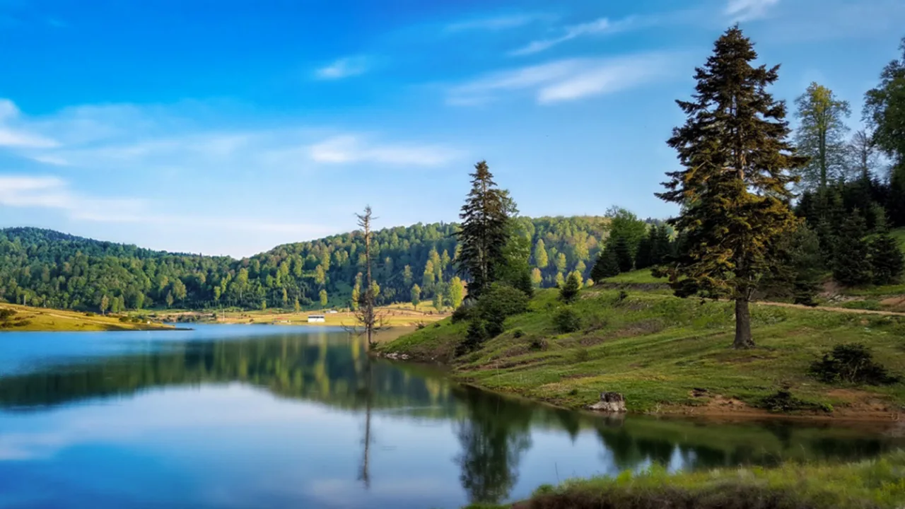 Sakarya’nın Doğal Güzelliklerinden Acelle Yaylası