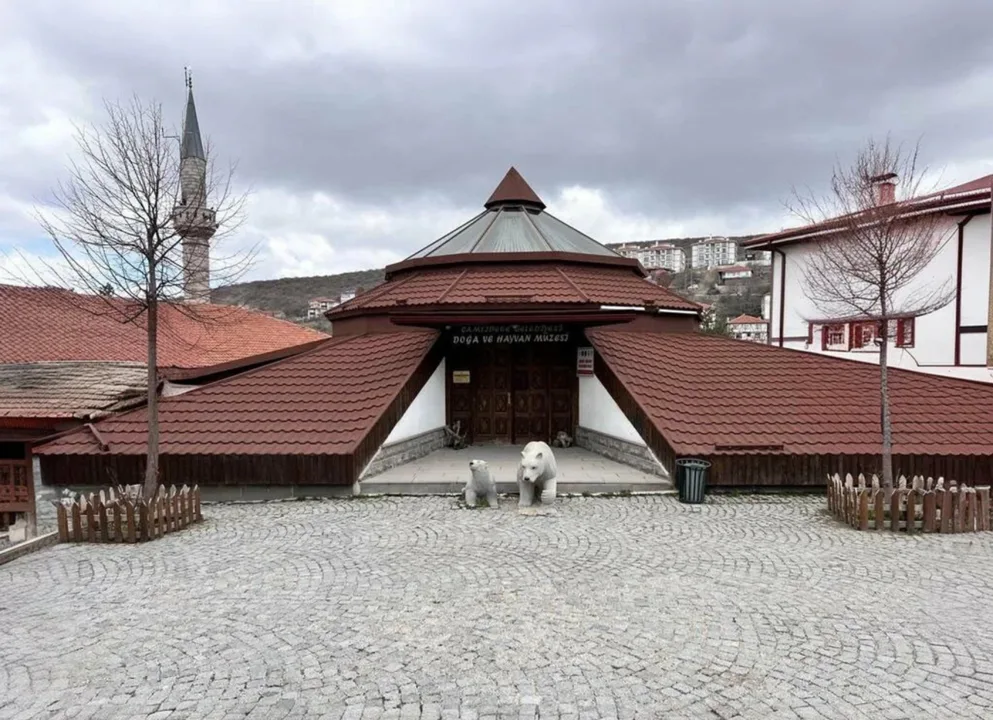Türkiye’nin İlk Doğa Ve Hayvan Müzesi