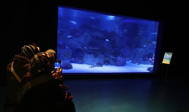 Engelliler, su altı dalışı yaparak yeteneklerini sergiledi