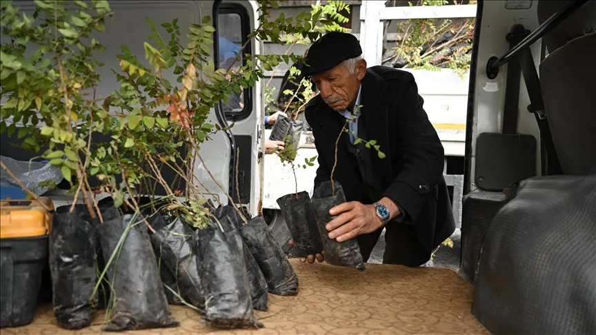 Konya’da çiftçiler kuraklığa karşı sumak üretimine özendiriliyor