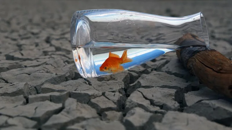  İklim değişikliği hayvanlardan bulaşan hastalıkları etkileyebilir