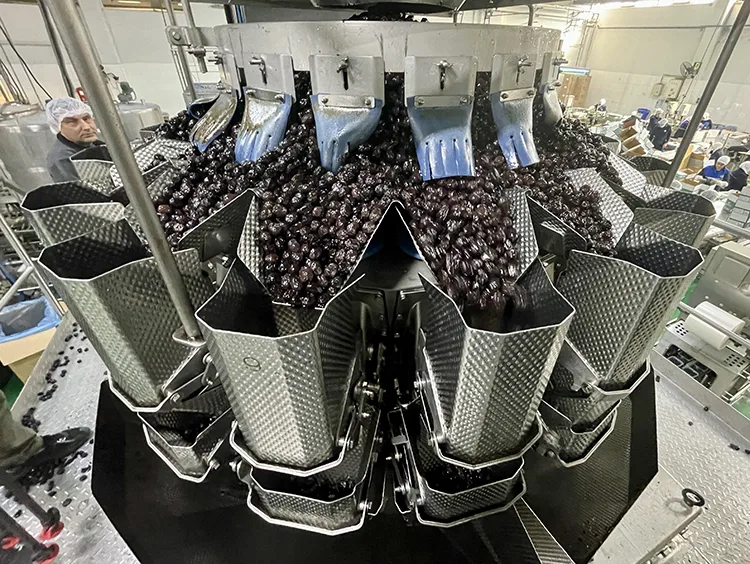 Marmarabirlik zeytinyağı tüketimini “promosyon” ile artırmayı hedefliyor