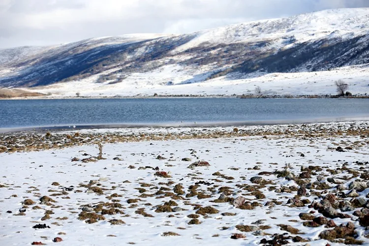 Ardahan’da Aktaş Gölü çevresi kar yağışıyla beyaza büründü