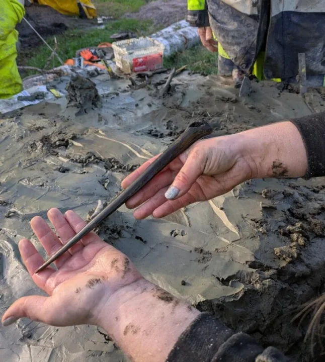 İyi Korunmuş Bir Köpek, Bir Kemik Hançer