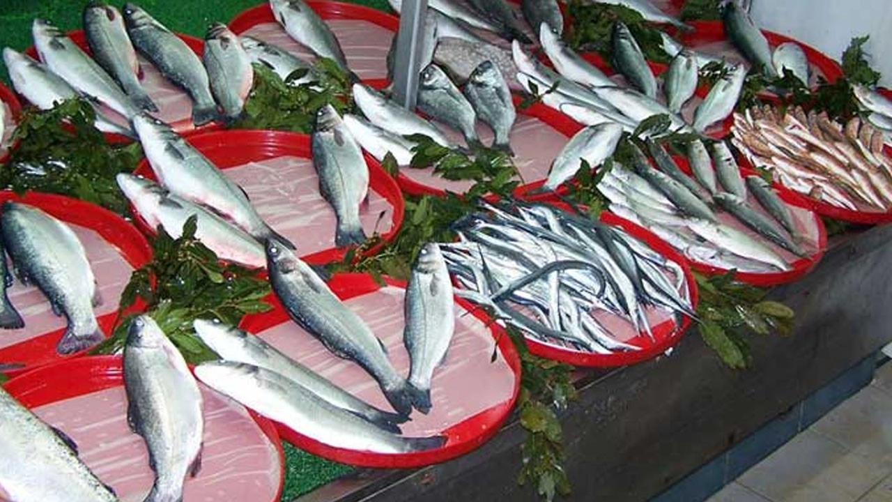 Bağışıklığı çelik gibi yapan Aralık ayının en faydalı balıkları açıklandı