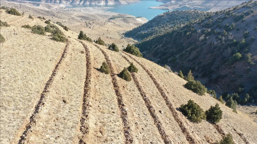 Doğu’da 9 milyon tohum ve fidan toprakla buluşturuldu