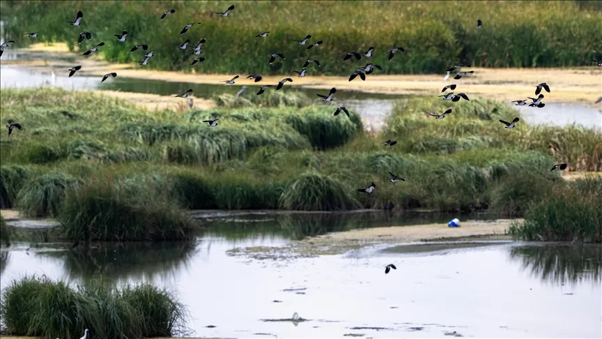 Türkiye’nin doğal sit alanı büyüklüğü 28 bin 907 kilometrekareye ulaştı