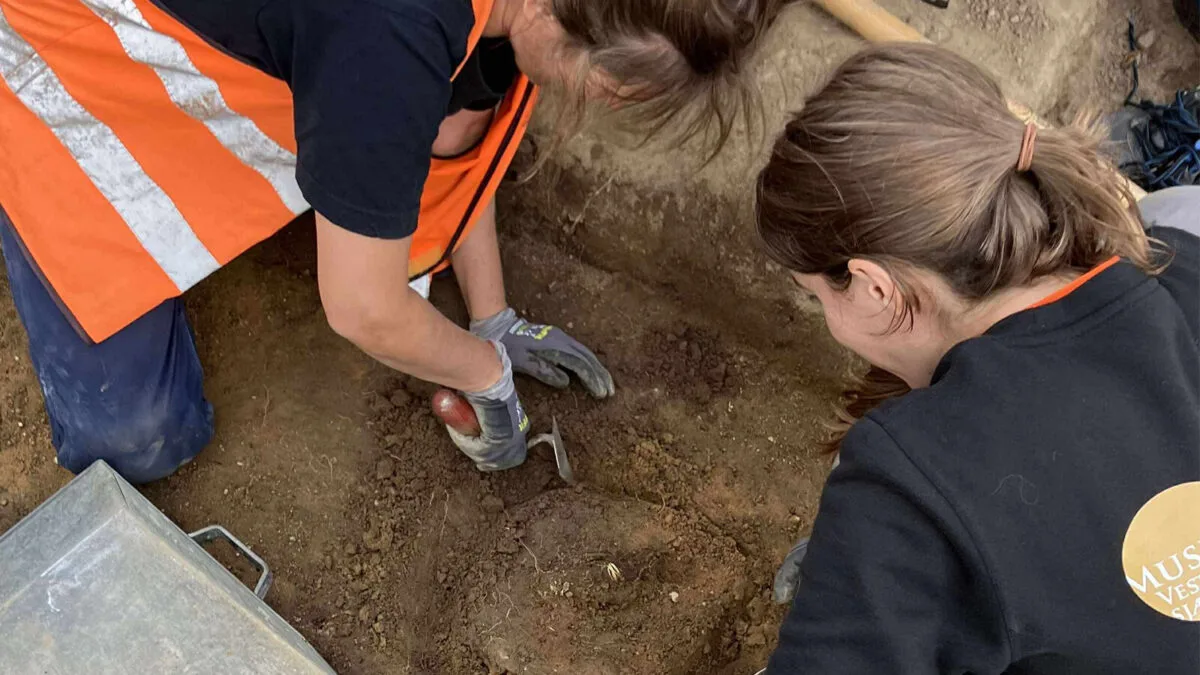 Danimarka’nın En Eski Demir Silahları: 2.800 Yıllık Altın Süslemeli Mızraklar Keşfedildi