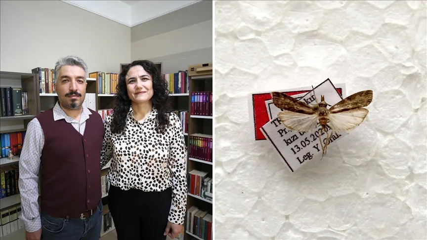 Diyarbakır’da keşfettiği yeni güve türüne eşinin adını verdi