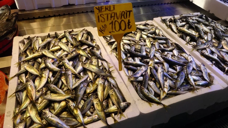 Fırtına balık tezgahlarını vurdu: İstavrit hamsiyi tahtından etti