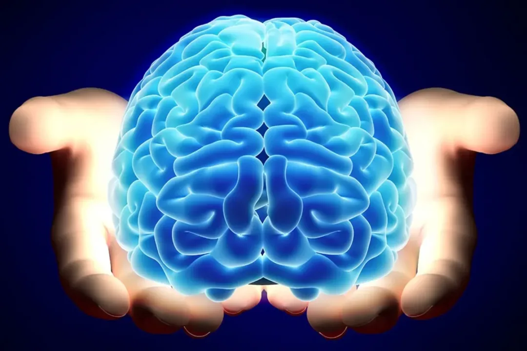 Nörologlar beyin için en zararlı 6 gıdayı açıkladı