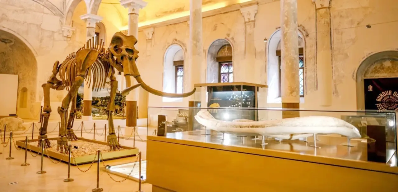 Milyonlarca Yıllık Fosiller Bu Müzede Sergileniyor