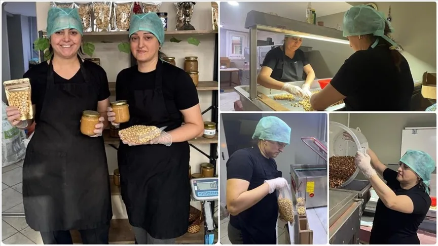 Giresunlu kadın girişimci devlet desteğiyle fındık işleme tesisi kurdu