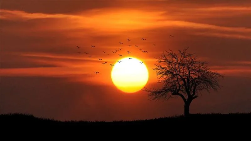 Avustralya’da sıcak hava dalgası nedeniyle termometreler rekor seviyelere ulaştı