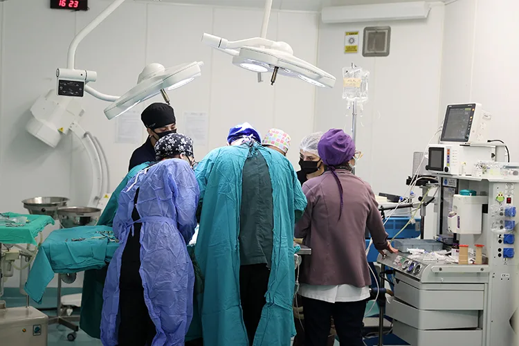 Konya’daki hayvan hastanesinde geçen yıl 21 bin veterinerlik hizmeti verildi