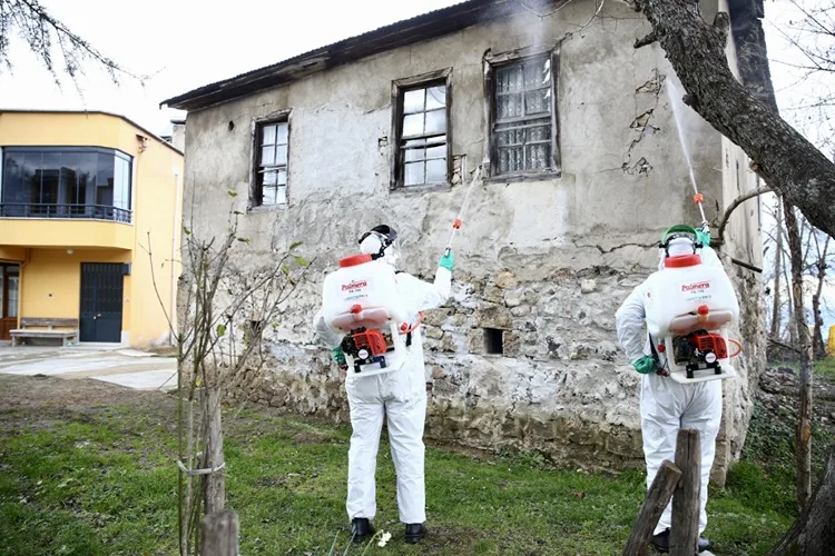 Giresun’da kahverengi kokarcayla mücadele dört koldan devam ediyor