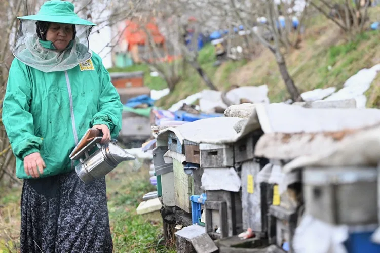 Kadın arıcı ata mesleğini 45 yıldır sürdürüyor