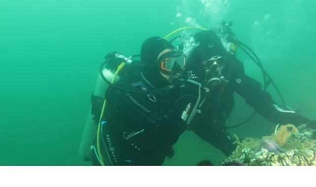 Büyükakın: “Dipten diriliş tüm Marmara’ya yayılıyor”