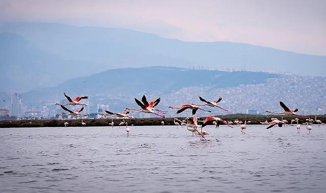 Doğa, kültür ve lezzet tutkunları yarıyıl tatilinde bu turlarda buluşacak